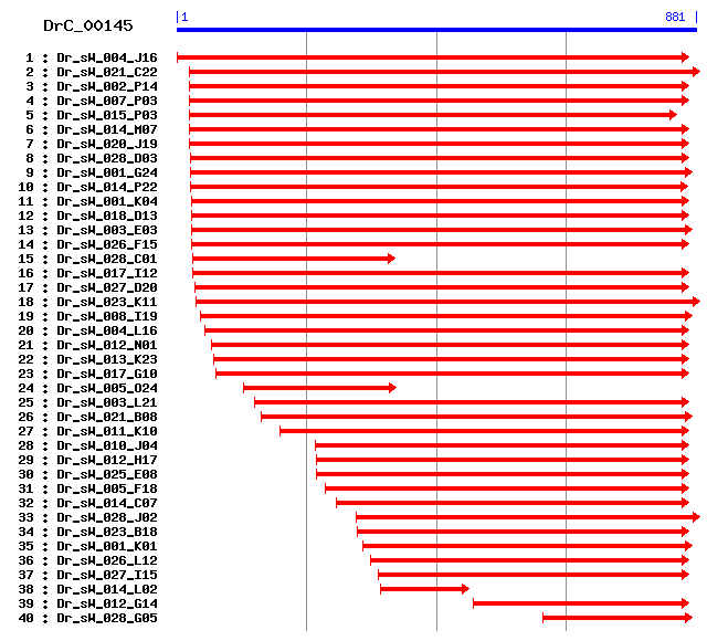 DrC_00145