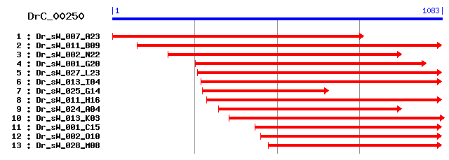 DrC_00250