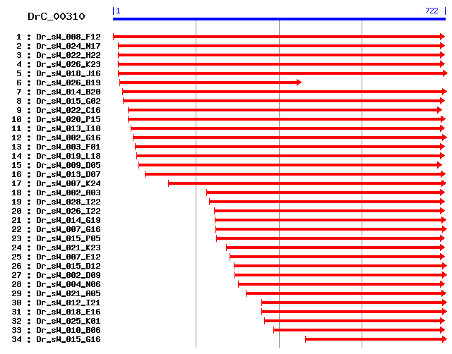 DrC_00310