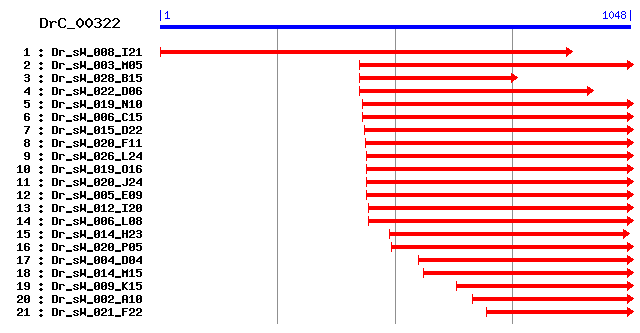 DrC_00322