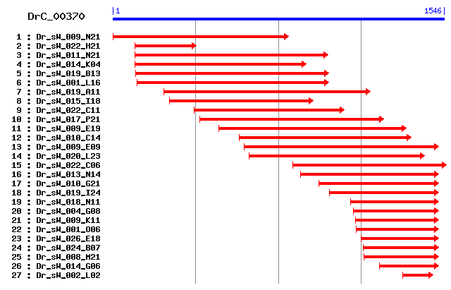 DrC_00370