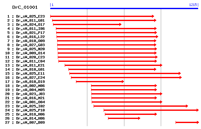 DrC_01001