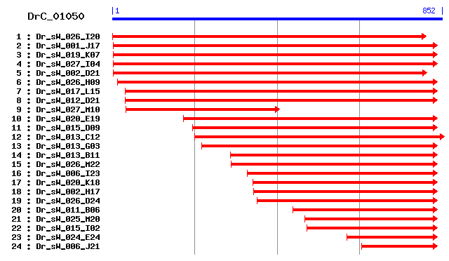 DrC_01050