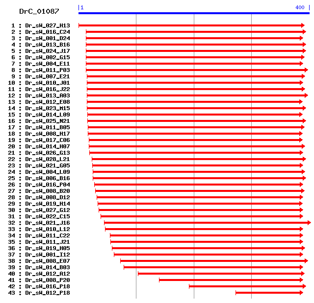 DrC_01087