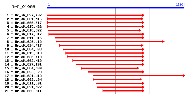 DrC_01095